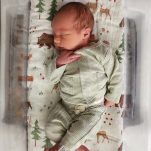 Henry baby