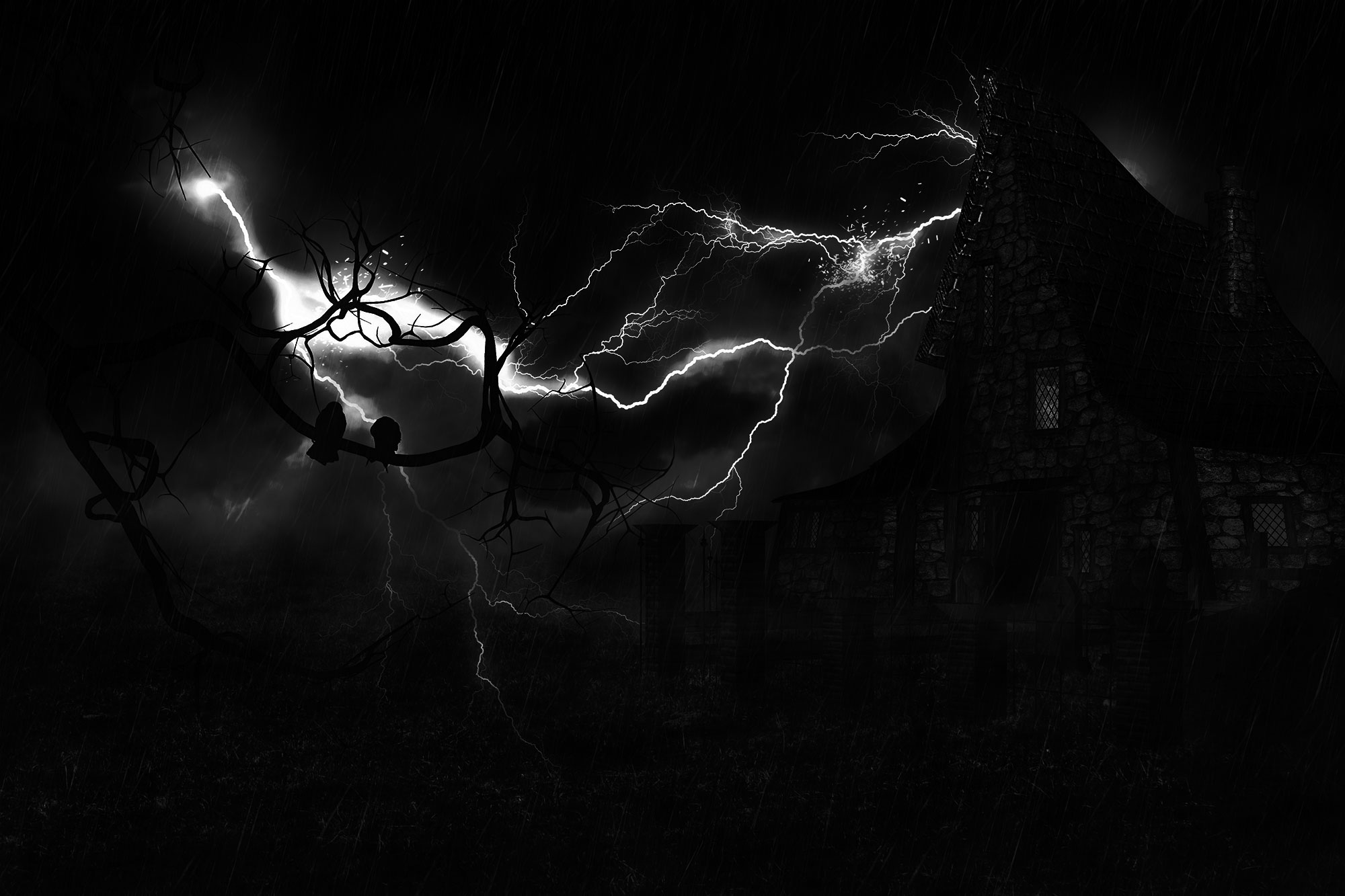 SS_background_1 - The Samantha and Kyle Busch Bundle of Joy Fund